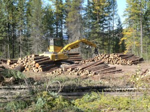 logging-3